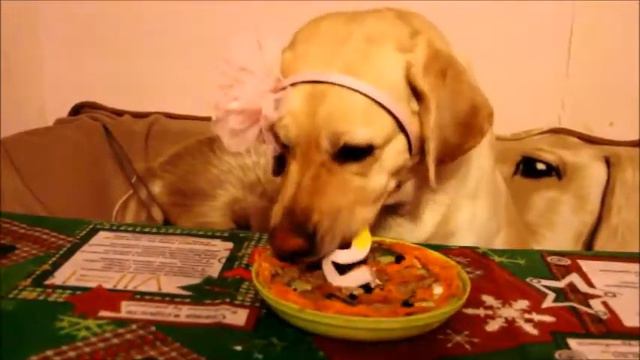 5 лет "Я" смотреть онлайн