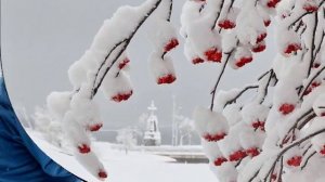 wlmpХАНИЯ   ФАРХИ  поёт  КЫШКЫ ЧИЯ