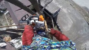 Как надежно привязать ветку или ствол при такелажных работах на дереве