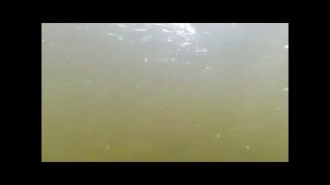 Рыбалка на Анюе летом 2019
