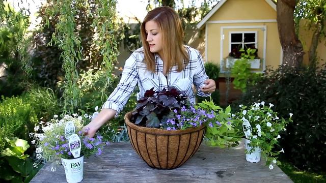 Plant Up A Hanging Basket for Summer! смотреть онлайн