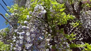 #ГЕЛЕНДЖИК УЛИЦА ТАМАНСКАЯ. ЧАСТНЫЙ СЕКТОР