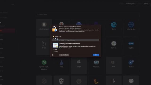How to set up wildcard certificates for Kubernetes through the Otomi Platform смотреть онлайн