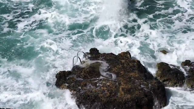 сколь можно прожить без воды???how can you live without water ??? смотреть онлайн