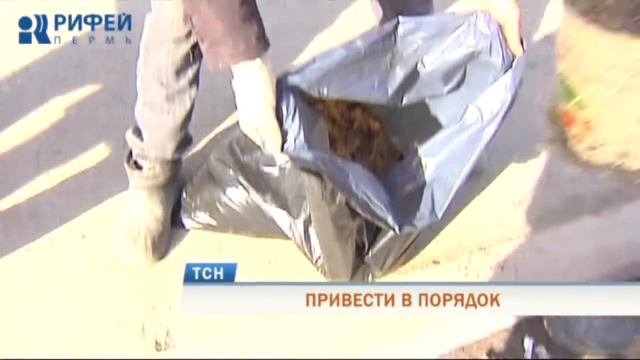 Общегородской субботник в Перми пройдет 20 апреля смотреть онлайн