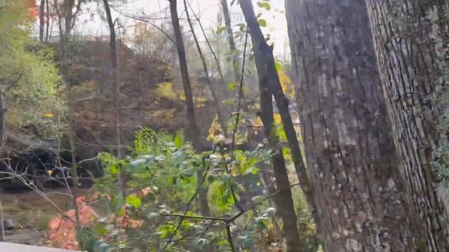 Влог из США #16 ?? | Осень в Америке | Pumpkin Patch, Corn Maze и Leaf peeping в Висконсине смотреть онлайн