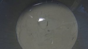 Зимняя блесна Торпедка 35мм