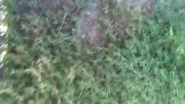 trialli тормозные шланги отзывы смотреть онлайн