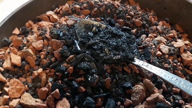 Кактусы с семян. Тепличка для посева. смотреть онлайн