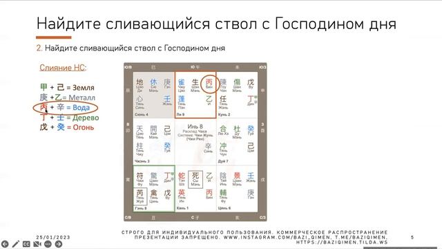 Цимень дун Цзя: Будут ли муж / жена богатыми