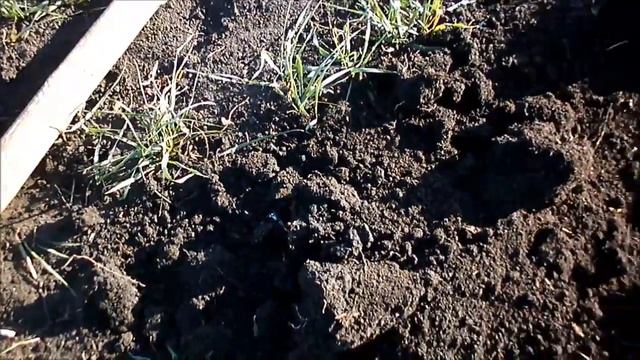 Видео поиска по старине с "Прошкой" - №2/Video Search by vintage with "AT PRO" - №2 смотреть онлайн