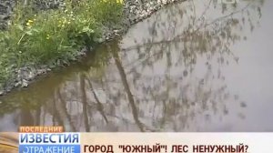 Город-спутник "Южный" обрастает спутниками-проблемами