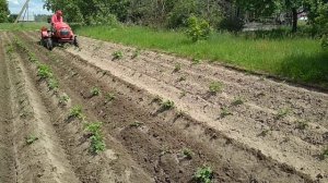 россел 152 Rossel XT-152 минитрактор