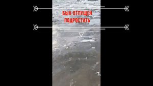 рыбалка НА СПИННИНГ на реке Западная Двина
