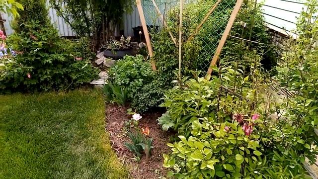 Весенний сад смотреть онлайн