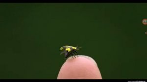 Моя галерея на планшете♡♥♡