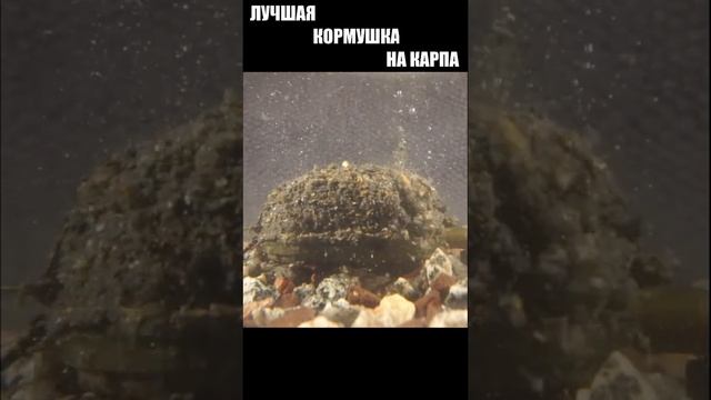 ЛУЧШАЯ кормушка для ловли карпа. ФЛЭТ МЕТОД. #shorts