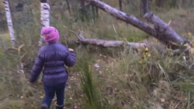 Дзержинск Пыра (Нижегородская область) экологическая катастрофа замор рыбы в озере. смотреть онлайн