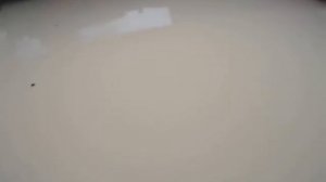 Плюсы и минусы купленных в цвет запчастей. Кузовной ремонт.