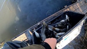 Проект "Аренда водоёма" 67 (ДР)