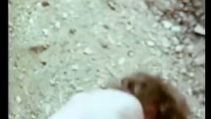 Алексей Фомкин. Непрекрасное далёко