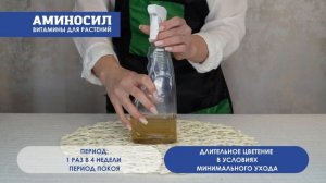 Инструкция к применению витаминного концентрата АМИНОСИЛ для орхидей