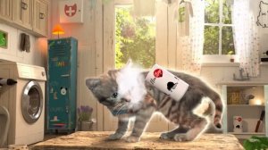 Little Kitten Adventure Game‪s‬ - Kitten Go To School Adventure - Fun Educational Games For Kids