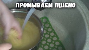 ПШЕНО для рыбалки!(рецепт).