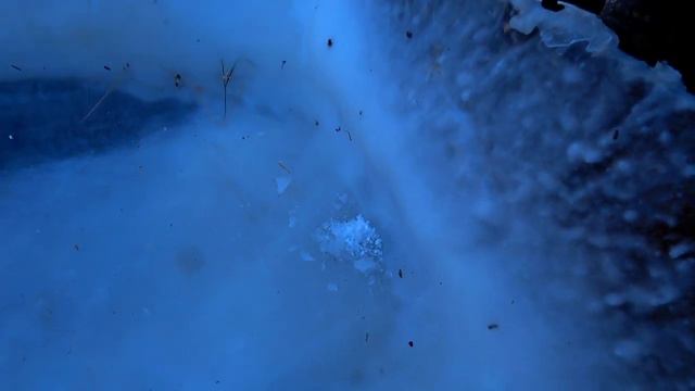 Аномальное нашествие косуль. Какие у нас замечательный дороги. Работа по хозяйству. Жизнь в деревн смотреть онлайн