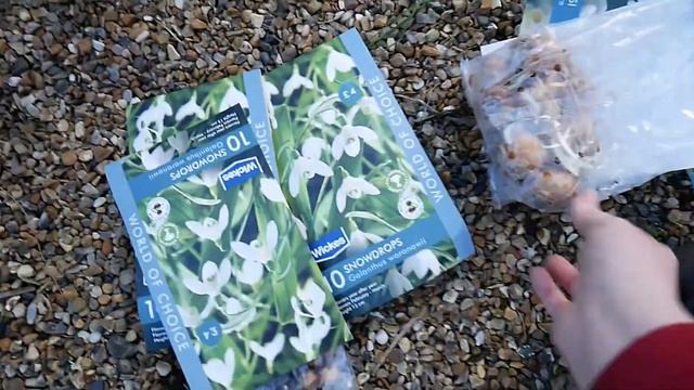 Beautiful Flowering Plant Haul. Lasagne Planted Bulb Pots & Garden Update | Gardening Enplotment смотреть онлайн