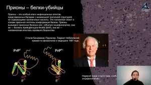 Всё о белках.