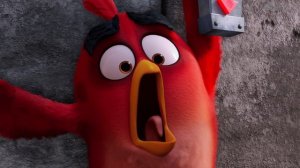 The Great Egg Fight Scene - The Angry Birds Movie (2016)
