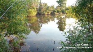 Озеро Песьяное в Тюмени