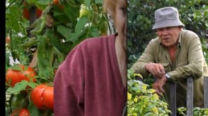 Группа Сибирская Дача