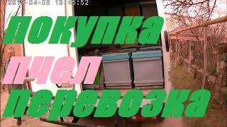 Поездка за пчелами в Воронежскую область.Привезти 12 рамочные семьи в 8 рамочных ульях и не запарить