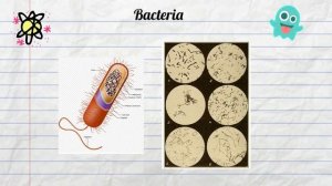 Saprotrophs Examples-Decomposers-Fungi-Bacteria-Water mold