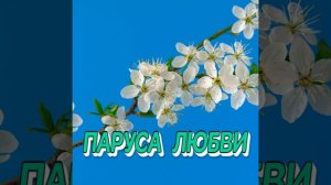 ПАРУСА ЛЮБВИ