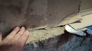 Утеплил стену курятника.Временно,за десять минут, без затрат...