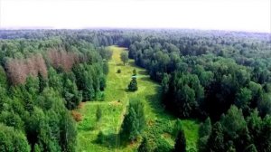 Купить участок по Дмитровскому шоссе|Коттеджные поселки по Дмитровскому шоссе КП Эксклюзив