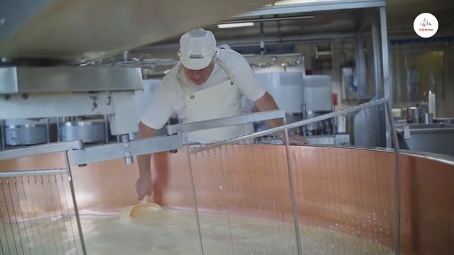 Лучший сыр в мире - сыр Le Gruyère! смотреть онлайн