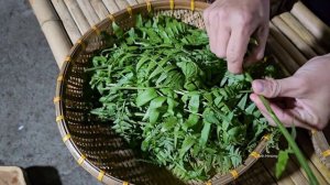 17 year old single girl: Make your own wild boar farm - anh hmong