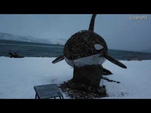 СЛЕПОК ВРЕМЕНИ // ДО И ПОСЛЕ НГ2023 #магадан #pocket2