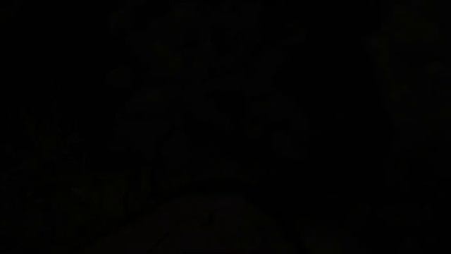 Прохождение The Elder Scrolls V Skyrim № 41 смотреть онлайн