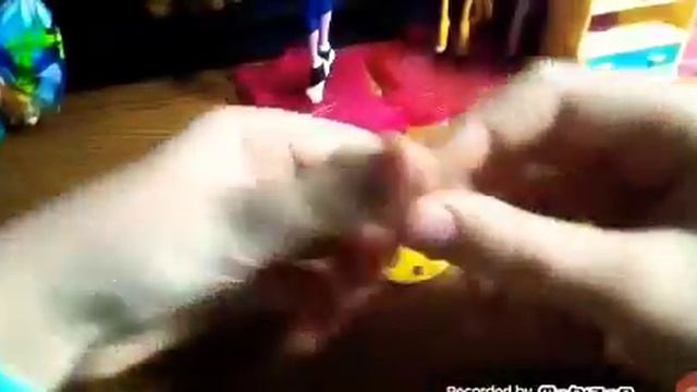 ?Миниатюрная пицца.Мастеркласс. ??? смотреть онлайн