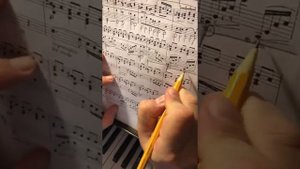 Шопен Прелюд ор.28#6 си минор