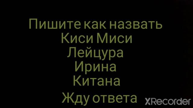 как назвать Киси Миси