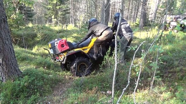 "Закон Всемирного тяготения..." смотреть онлайн