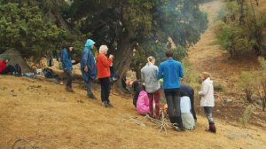 Синегорье - Сказки волшебного леса