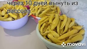 Цицак - Острый перец ?Как засолить Цицак ?