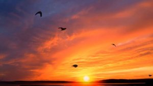 Стерео звук. Расслабляющая, спокойная музыка для души. Music for the soul, mood and relaxation.